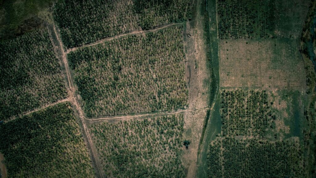 Drone image of lush green fields in Abuja, showcasing rural scenery and natural landscape.