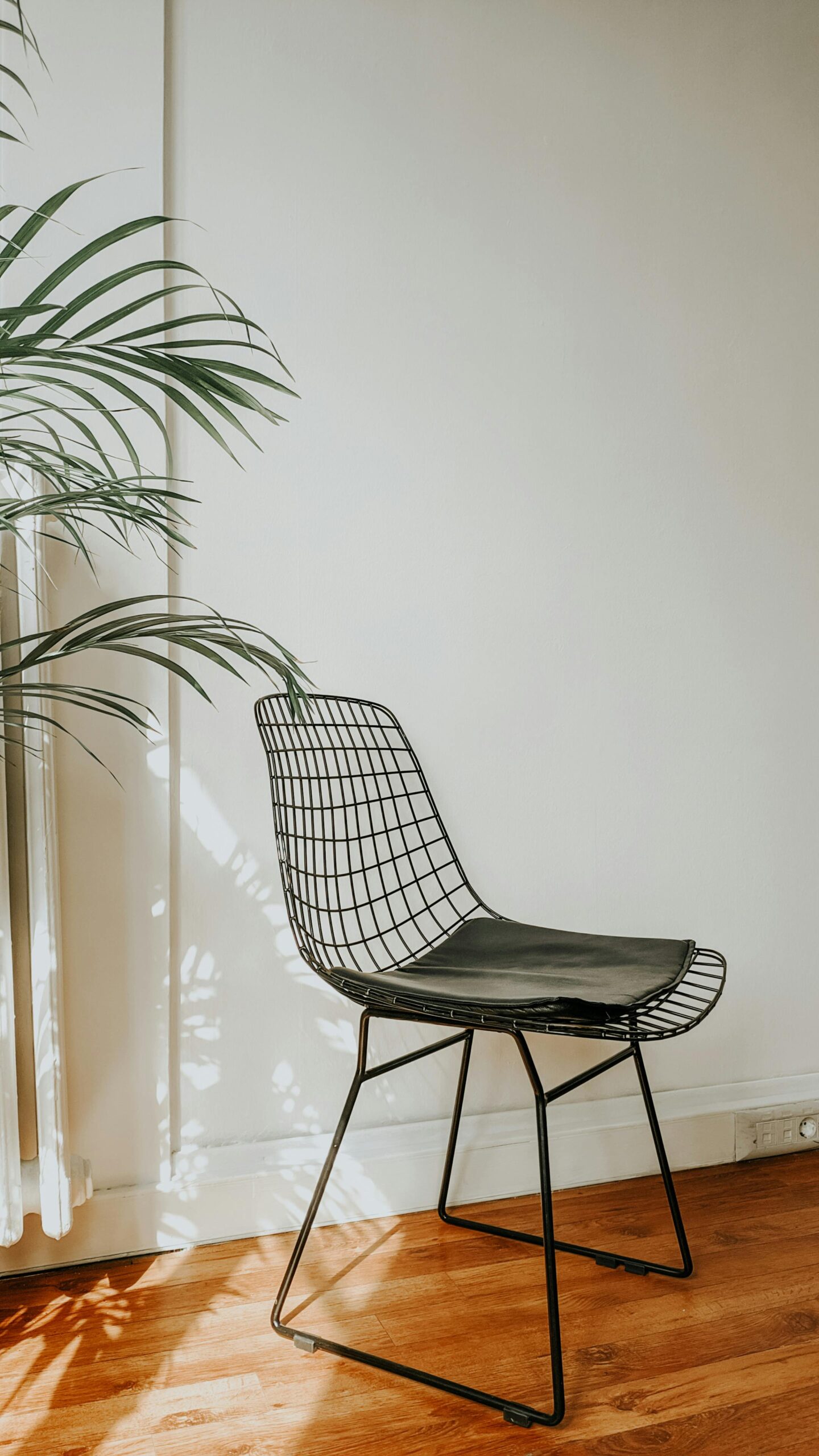 Interior of bright empty flat with chair on floor near white wall and green plant in sunlight